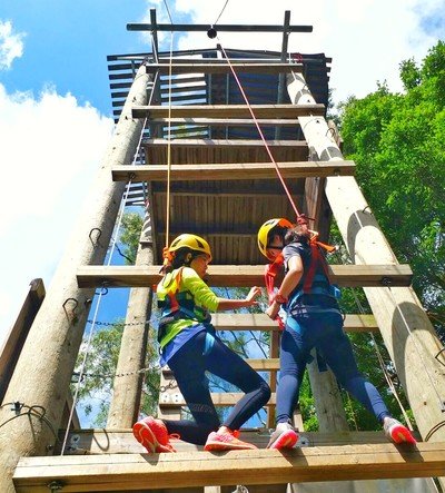 Giant Ladder